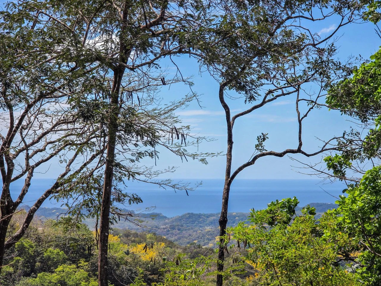 Mountain and Partial Ocean View Lot With Building Permits Approved - Gallery image 5