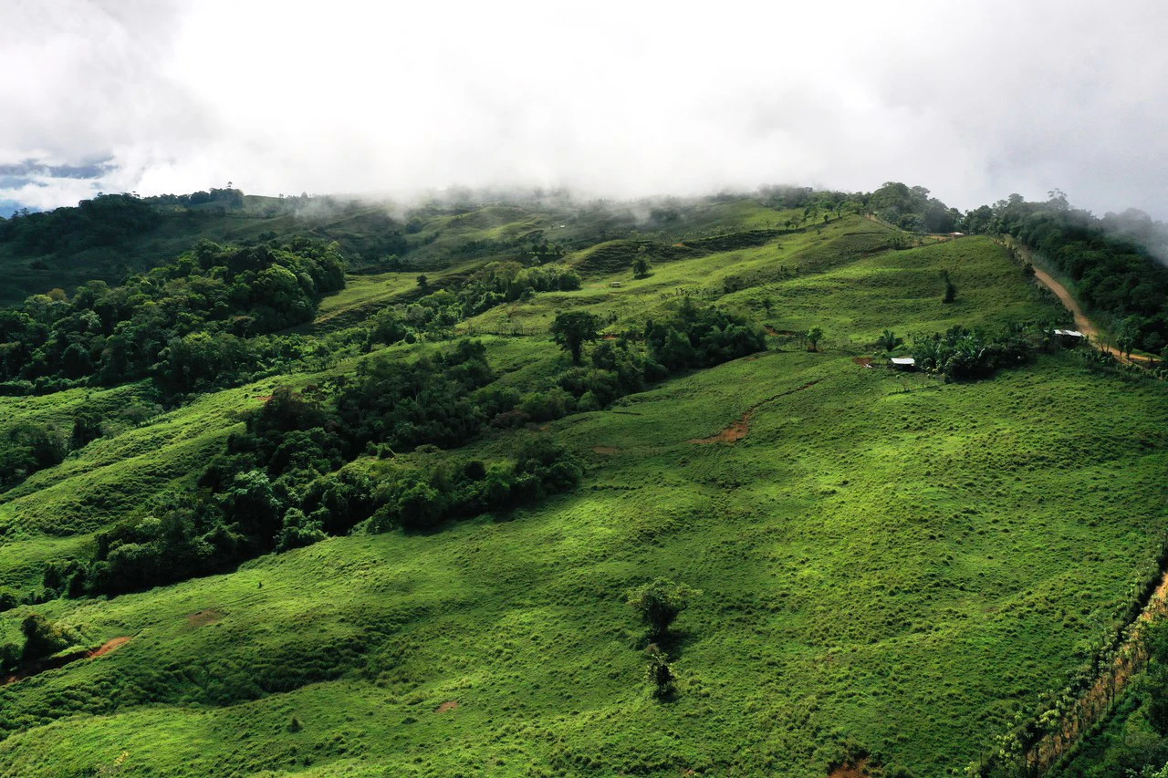 150 Acre Cattle Ranch with Panoramic Views Above the mountains of Uvita - Gallery image 18