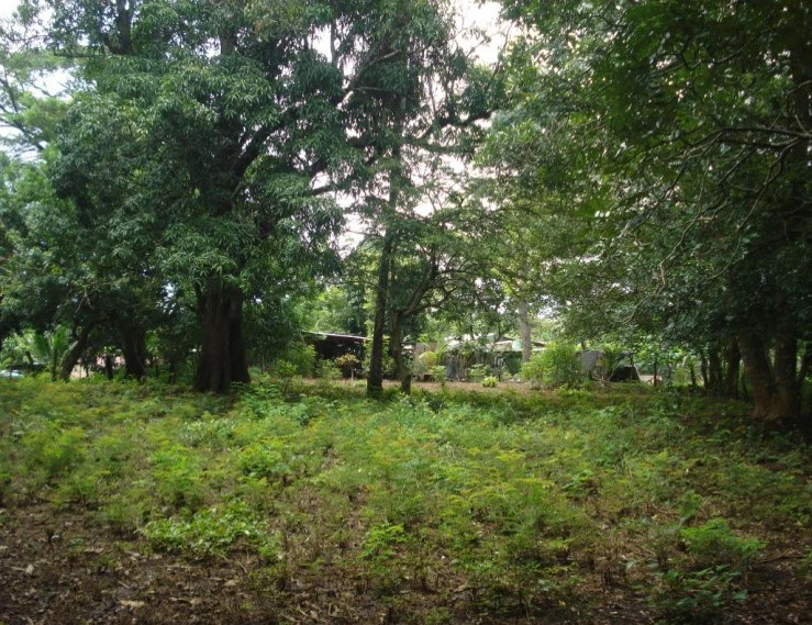 Property nearby the Waterfall, the International Airport of Liberia  And the beaches of Guanacaste