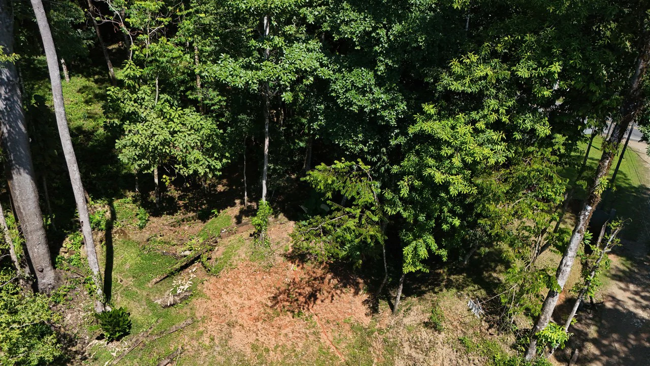 Private Beach Community | 1,708 m² Build-Ready Lot in Ballena - Gallery image 4