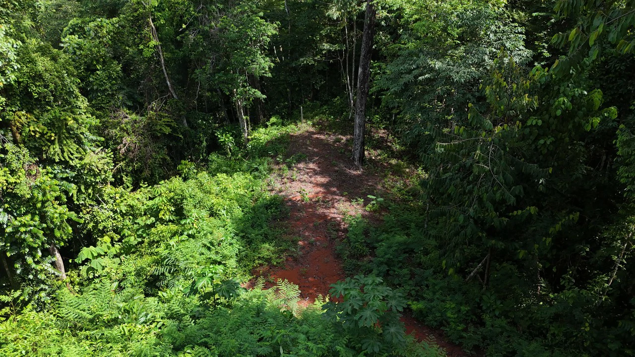 Spectacular Ocean view on 7.7 acres: Mountain Home Construction Site For Sale in Bahía Ballena - Gallery image 19