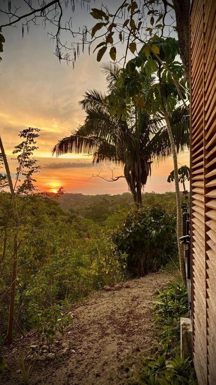 The Ark: $1,390,000 USD Luxury Jungle Estate with Guest House in The Ark Community, Santa Teresa Costa Rica - Gallery image 78