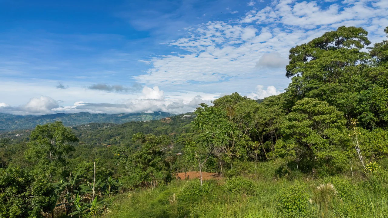 Valley View Lot in Quebradas, Pérez Zeledón.: Mountain Home Construction Site For Sale in Quebradas - Gallery image 3