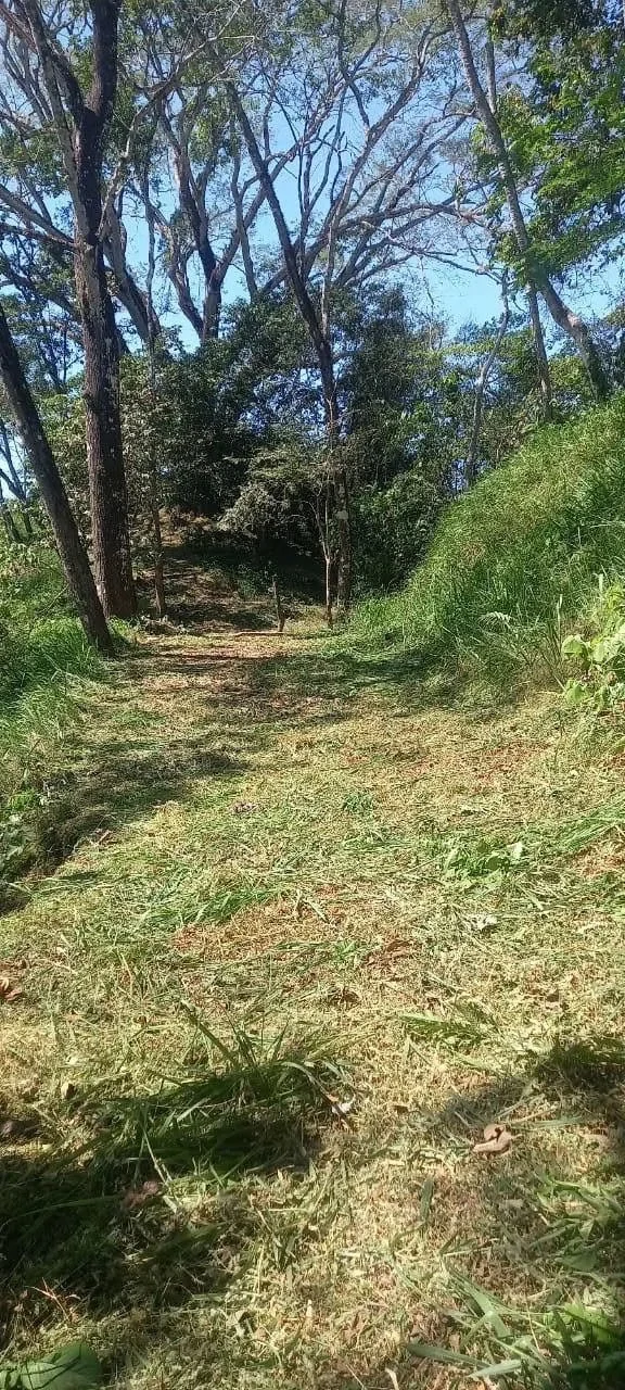 58 hectares: Ocean View Development Land for Sale in Tambor Costa Rica – 58 Hectares on the Nicoya Peninsula - Gallery image 11
