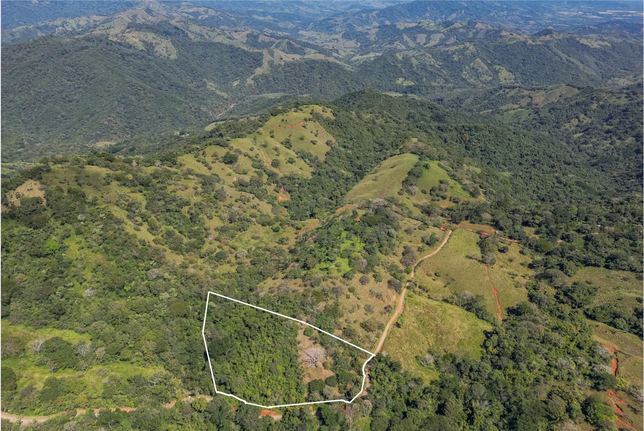 Silent Ridge: 2 Hectares With Ocean View - Gallery image 7
