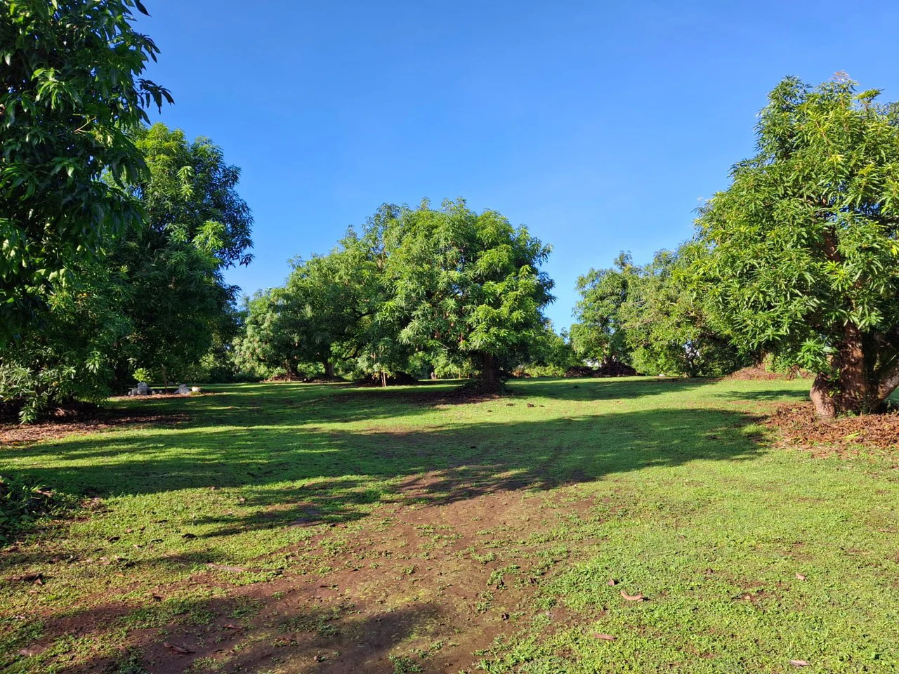 Profitable Finca...Multi USE property with Muni Approval - Gallery image 7