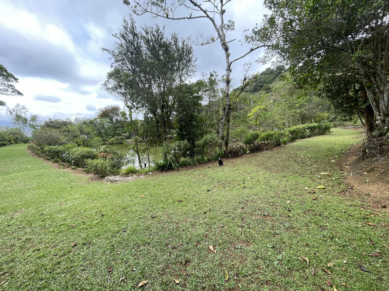 Cartago, gourmet coffee plantation: Charming Coffee Retreat Home with Stunning Views and Gourmet Coffee Plantations - Gallery image 29