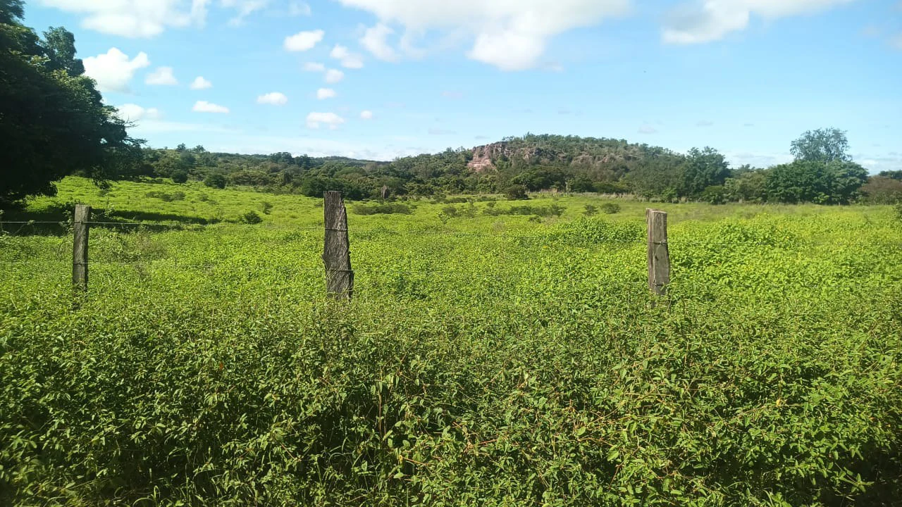 Riverfront, Mountain and Countryside Agricultural Land For Sale in Cañas Dulces - Gallery image 4