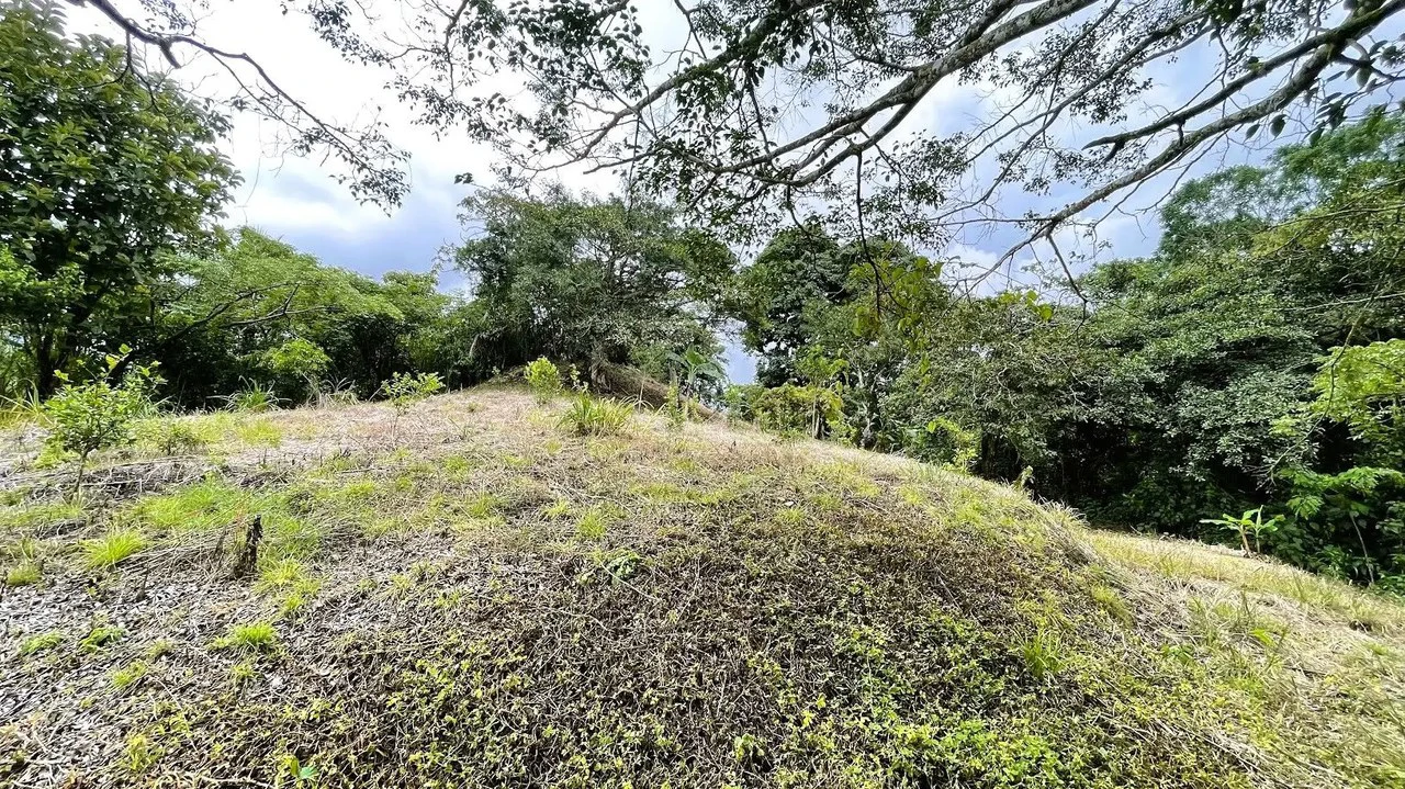 LAND FOR SALE IN SAN MIGUEL, NARANJO - Gallery image 17