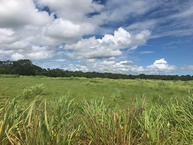 Large Development Land for Sale in Liberia, Guanacaste, Costa Rica - Gallery image 11