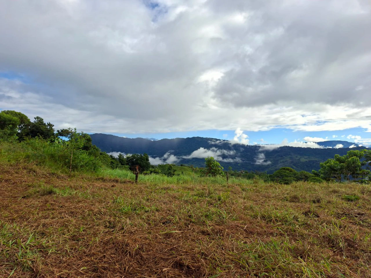Off-Grid Ocean View Lot | 1.7 Acres in Las Nubes Matapalo Hills - Gallery image 18
