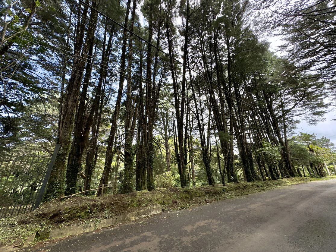 Live in harmony with nature in San Rafael de Heredia - Gallery image 4