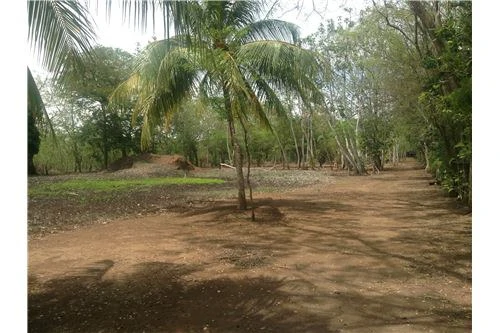 Commercial land in Guanacaste 0.87ha : 900701029-120 - Gallery image 6