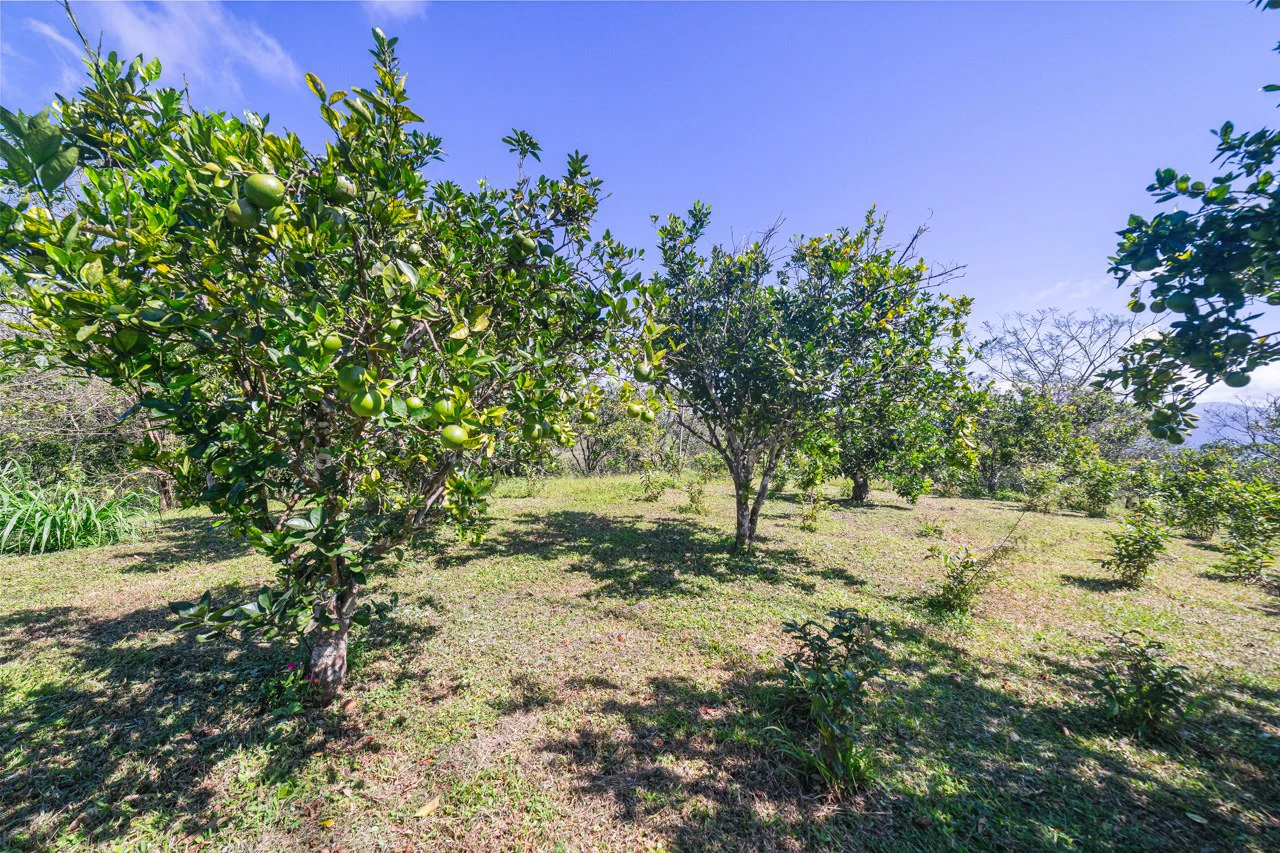 Altos de Socorro: Hilltop Farm with Expansive Ocean Views - Gallery image 26