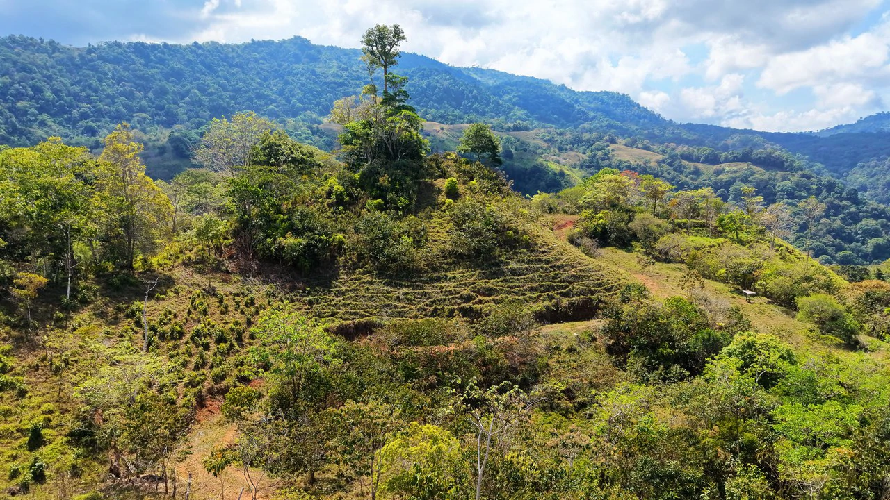 2.8 HA FARM FOR SALE IN SAN LUIS DE MORETE | MOUNTAIN VIEWS AND NEAR THE OCEAN - Gallery image 15