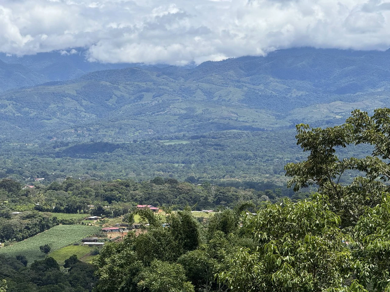 Prime 40,000 Sq. Ft. Building Lot with Mountain & Valley Views in Pérez Zeledón
