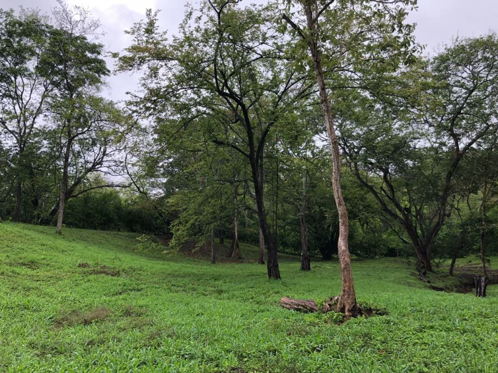 Lot in exclusive Residential, close to Beach Tamarindo - Gallery image 17