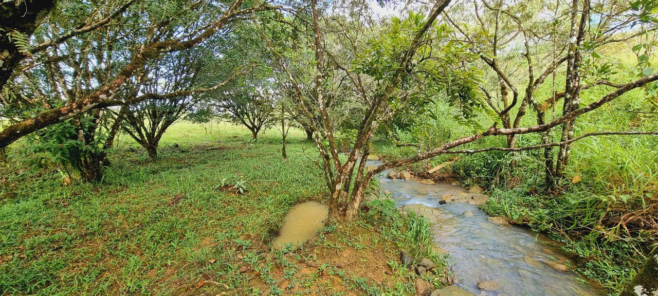 Lote 46 RISE: BEAUTIFUL 1.37-ACRE LOT WITH CREEK FOR SALE IN THE HEART OF THE RESIDENCIAL RISE, SANTA ELENA - Gallery image 6