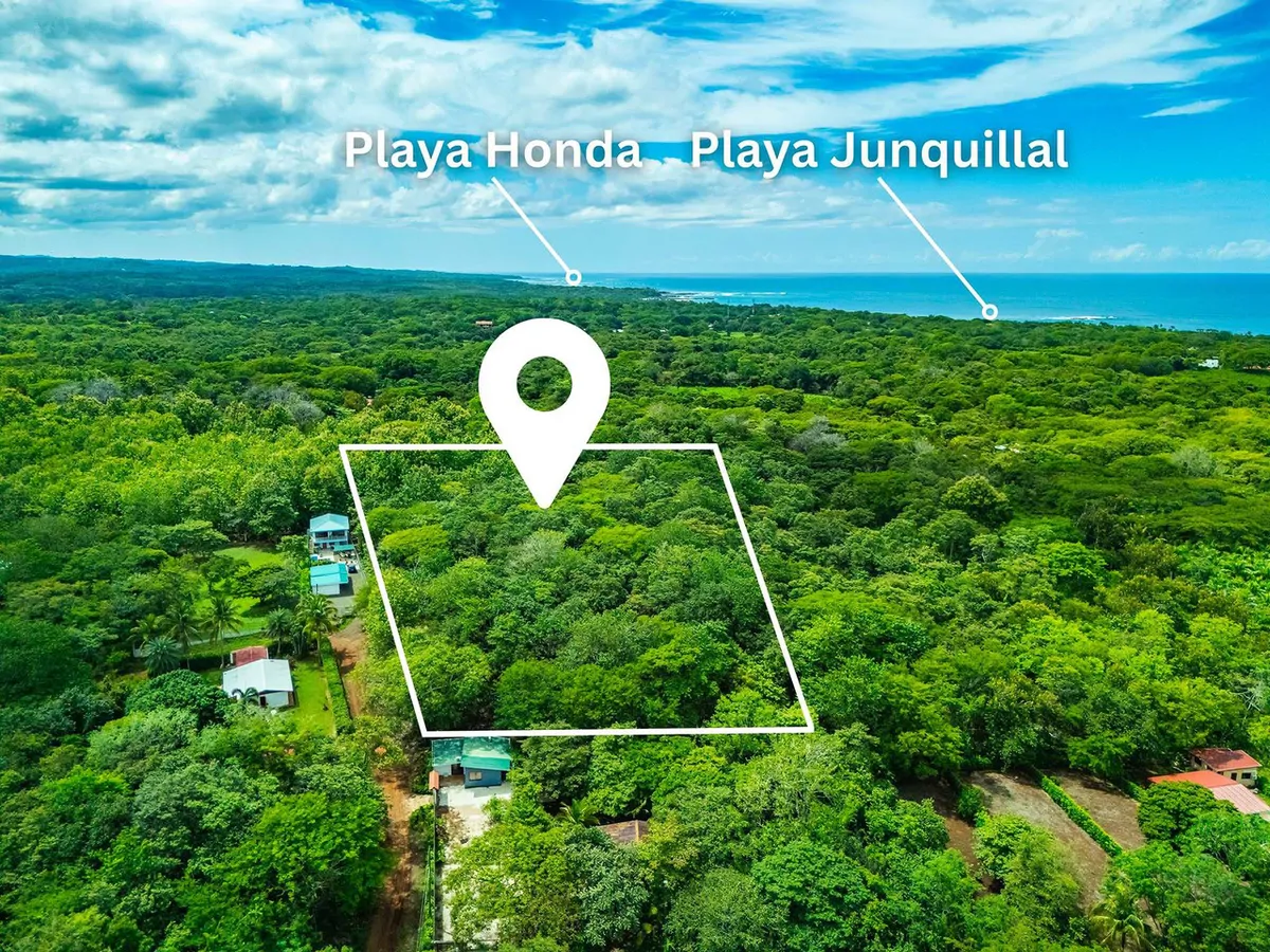 Expansive Land at an Affordable Price