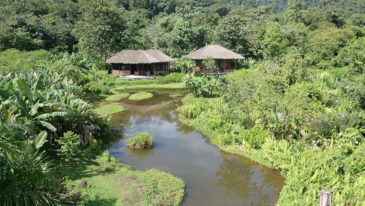 60 Acre Fully Sustainable and Impactful Conservation Initiative Near Golfito: Mountain Multi Unit Building For Sale in Golfito - Gallery image 13