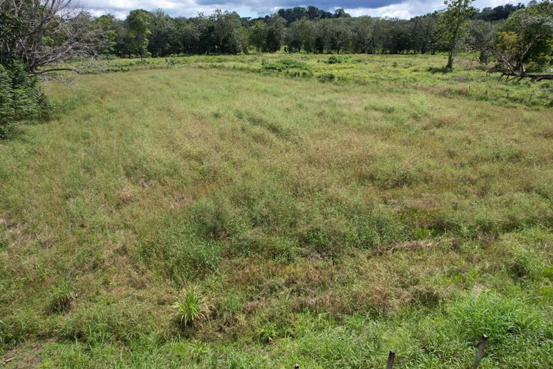Land For Sale with Excellent Location in La Amapola, Puerto Jimenez - Gallery image 6