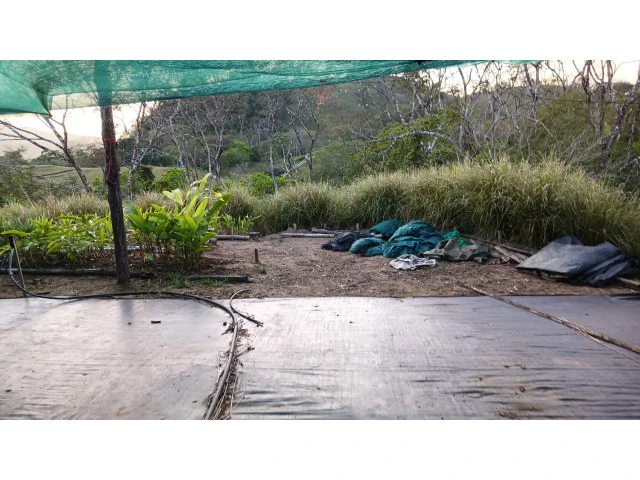 Exclusive lot for sale in Hojancha's green, tropical, rolling mountains, just 3 minutes from town - Gallery image 7