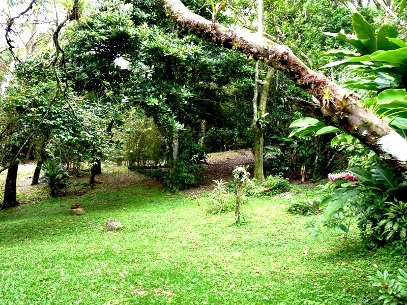BAMBOO GARDEN - Large Country Home - Ready for Your Personal Touch! - Gallery image 21
