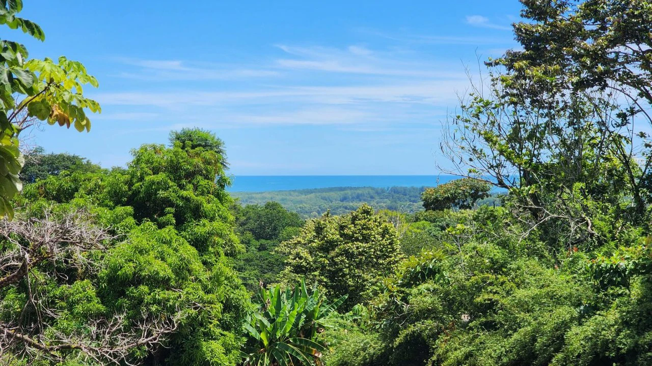 1.25 ACRES – Stunning Ocean View Oasis: Exclusive Property With Premium Amenities!!!! - Gallery image 3