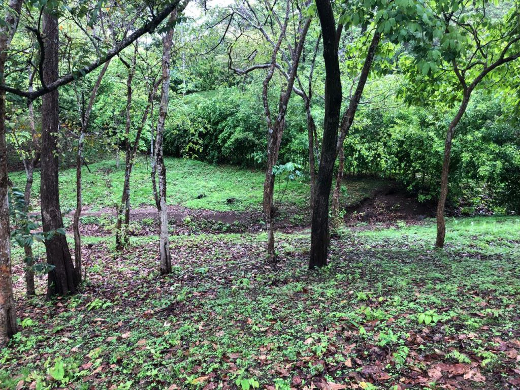 Lot in exclusive Residential, close to Beach Tamarindo - Gallery image 28