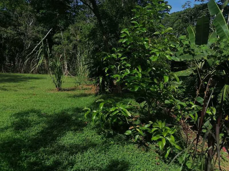 69.16 Acres Property | Mountain & Top Ocean View with Small Home - Gallery image 32