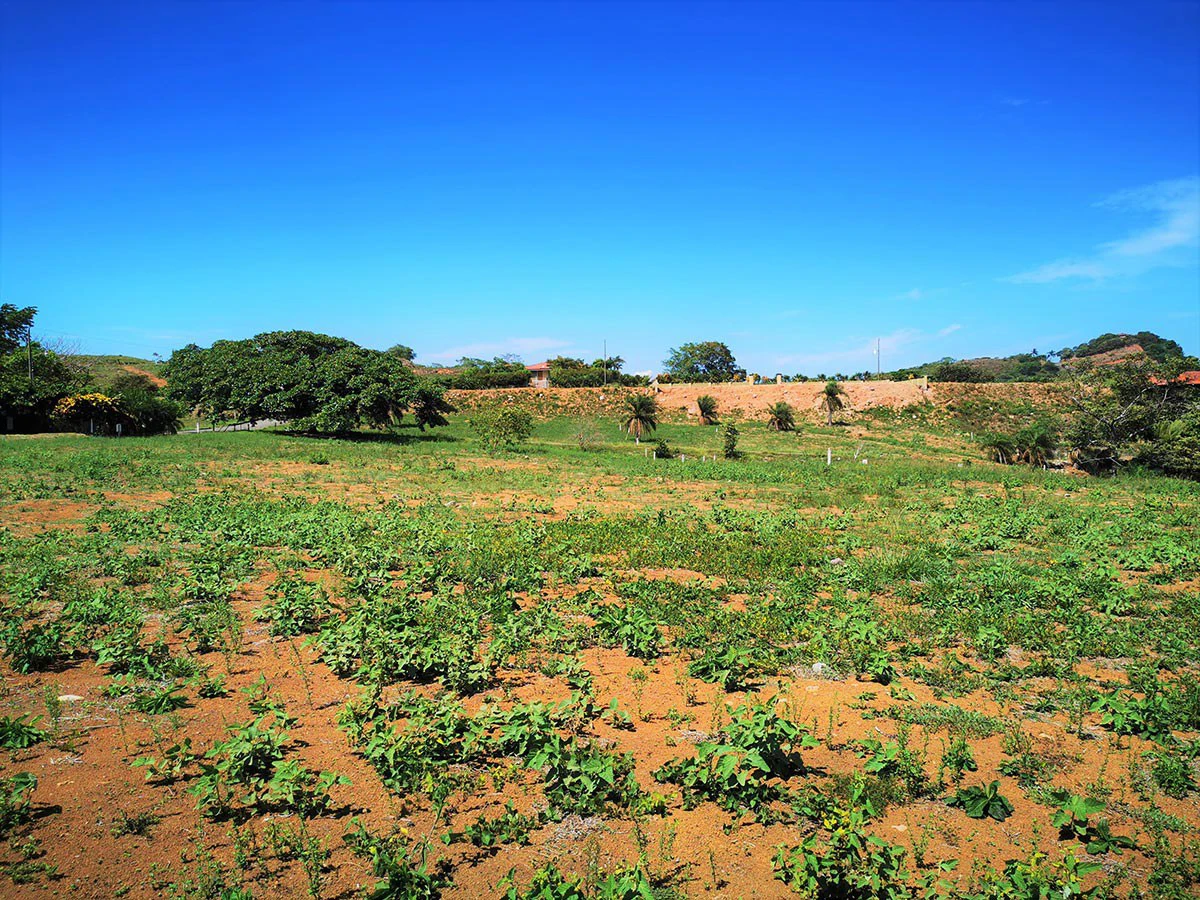 ID 3700: Price Slash! Ocean and Mountain View Lot close to Atenas and the beach - Gallery image 10