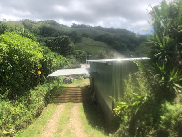 Coffee Farm in Monteverde is a full working Business - Gallery image 22