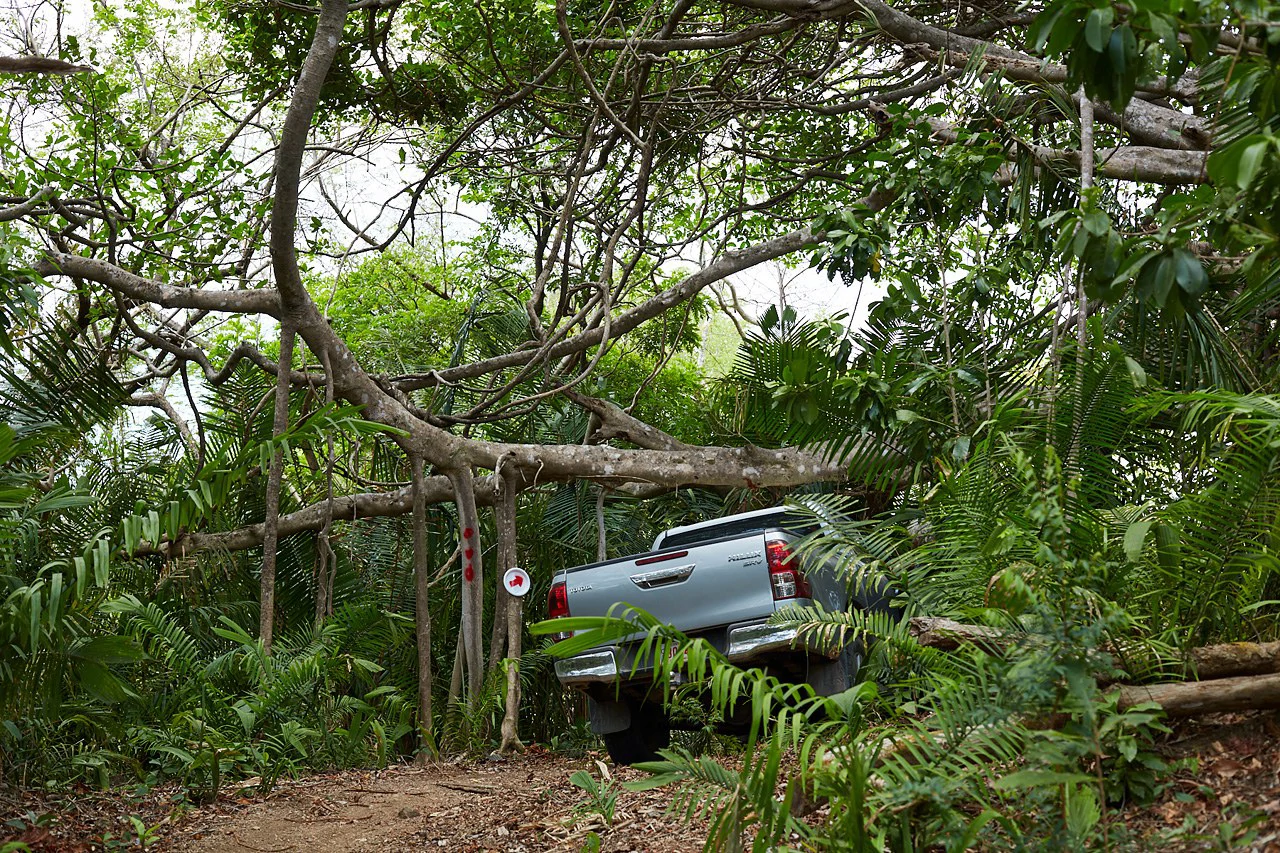 Finca Gomez: 214 Hectares | Ocean Views, Rivers & Development Potential – Guanacaste - Gallery image 9