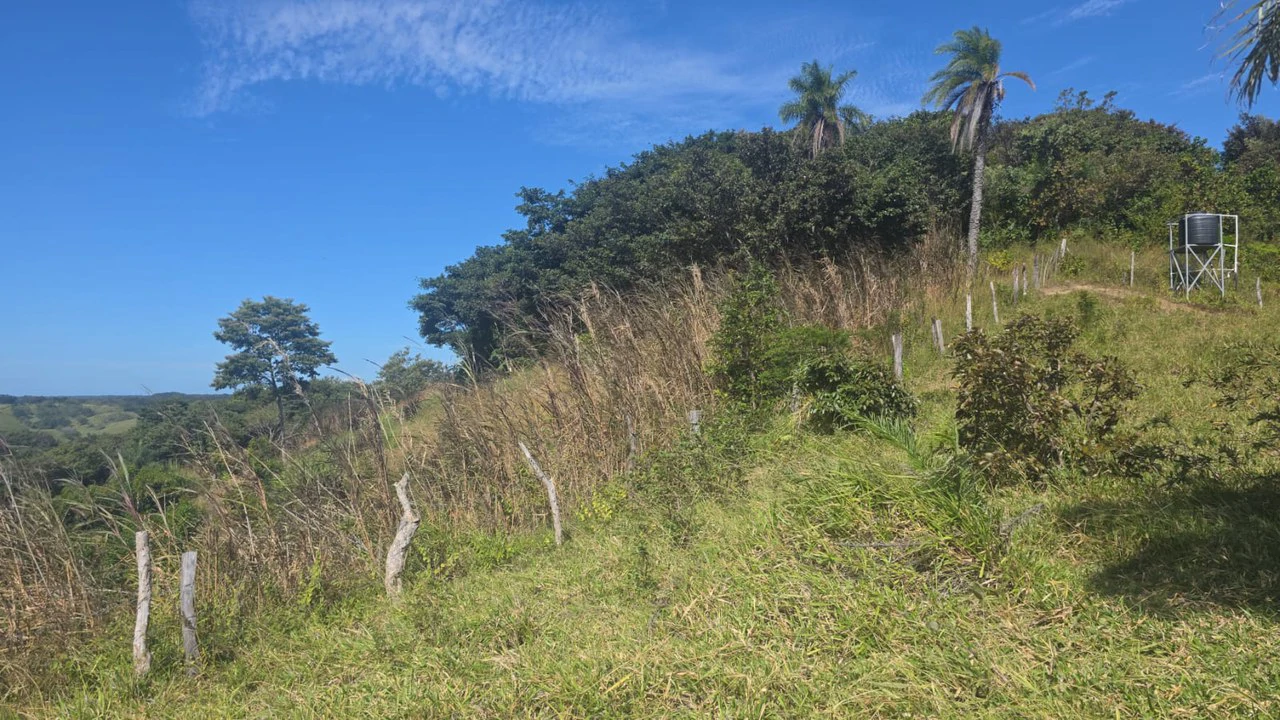 Mountain Property for Sale with charming 360º views of Guayabos Valley and the Volcanoes - Gallery image 41