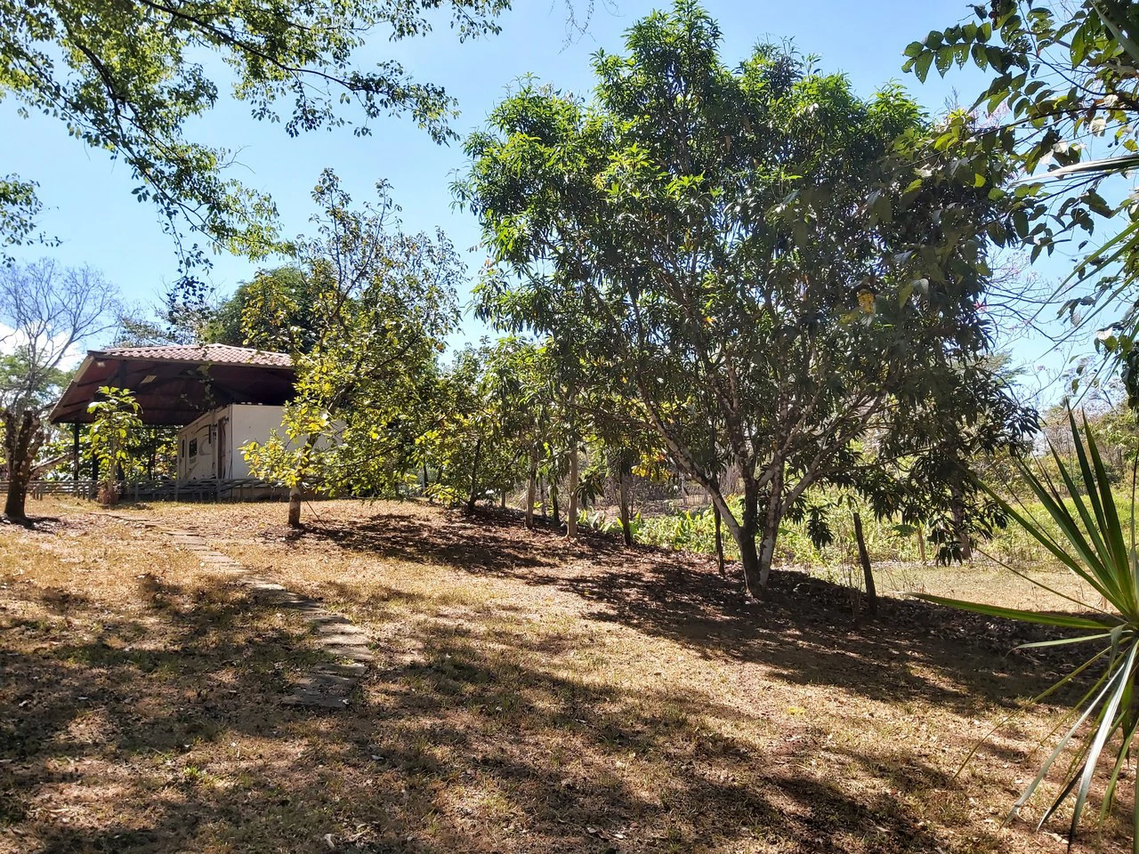 Countryside and Mountain Home Construction Site For Sale in San Juan de Mata - Gallery image 23