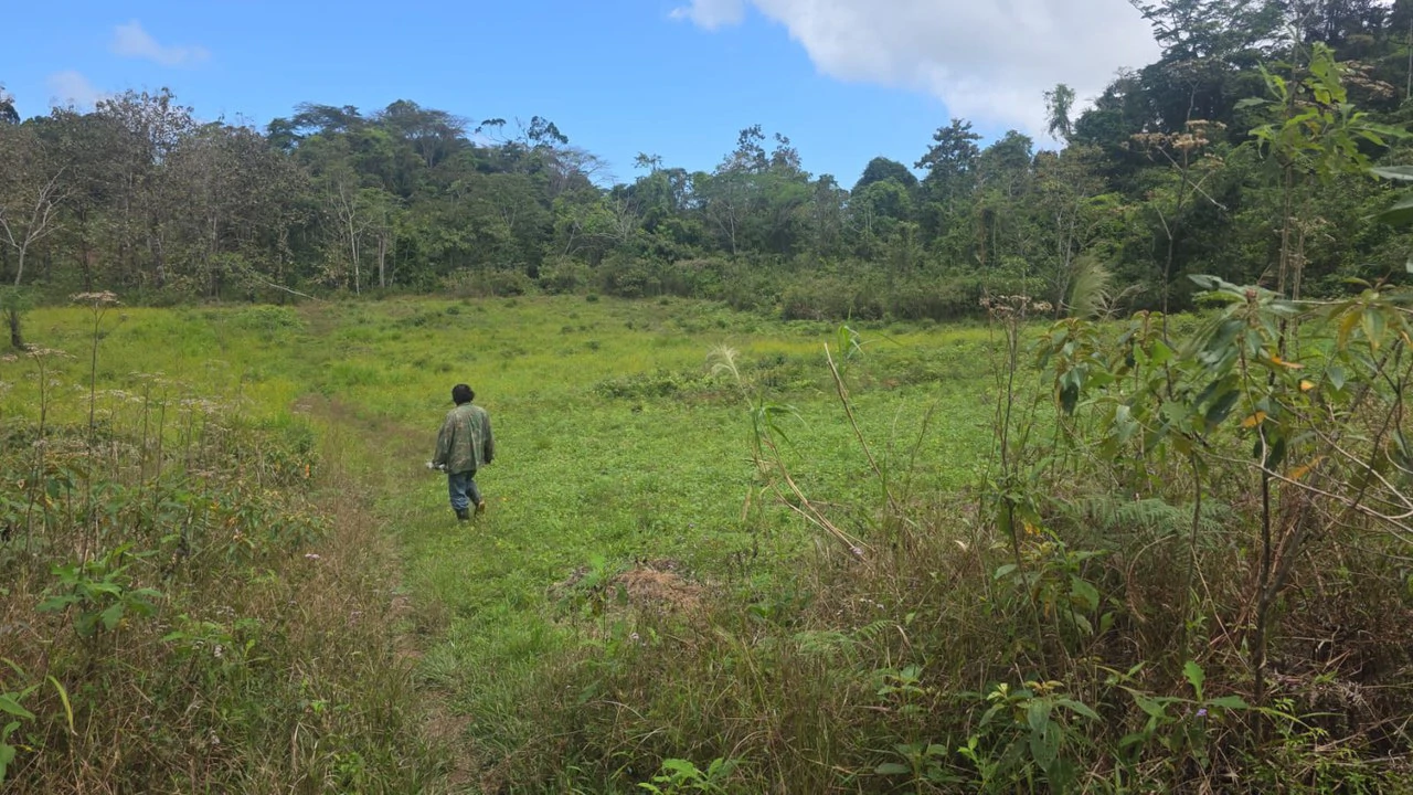 Expansive Year-Round Green Agricultural Property with Rolling Hills and a River – One Hour from Liberia - Gallery image 8