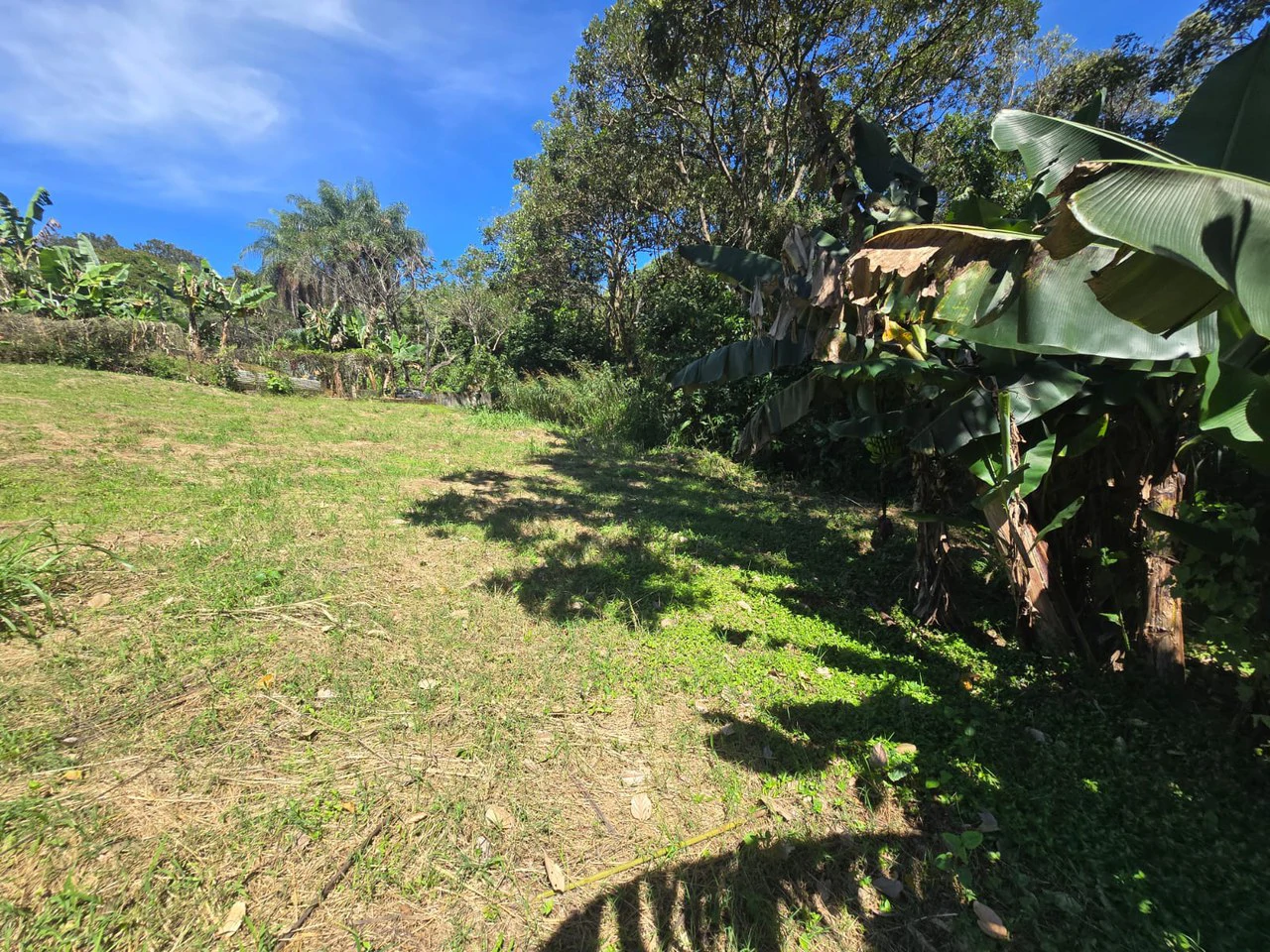 Land for sale in Tambor, Alajuela - Gallery image 5