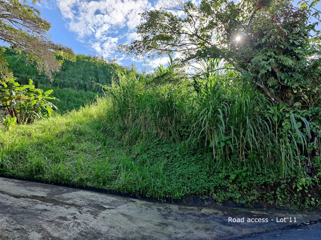 Eco-Lot #11: Ready-to-Build Sustainable Haven with Gulf & Mountain Views - photo 2