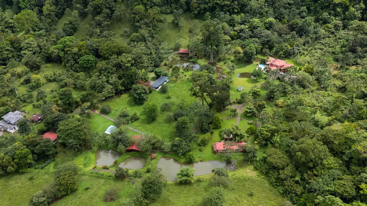 Finca Mei Tai: Enchanting property! Don't miss your chance to own a piece of paradise! - Gallery image 20