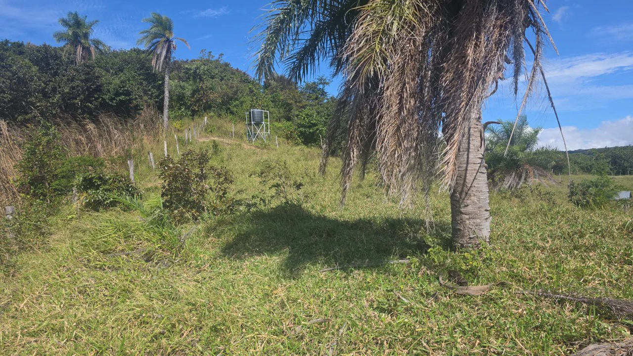 Mountain Property for Sale with charming 360º views of Guayabos Valley and the Volcanoes - Gallery image 43