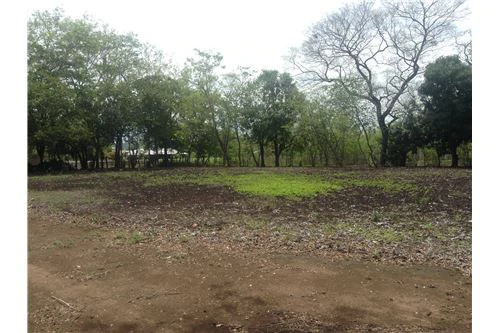Commercial land in Guanacaste 0.87ha : 900701029-120 - Gallery image 10