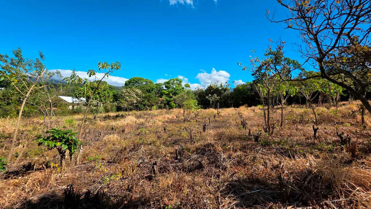 Lot for sale in Grecia, Costa Rica - Gallery image 4