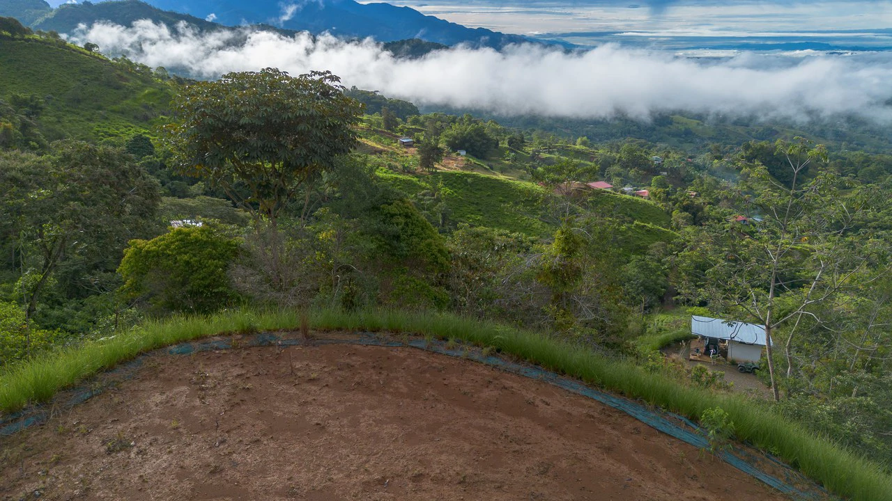 10.21 Acres with Views & Plantels – Pérez Zeledón - Gallery image 24