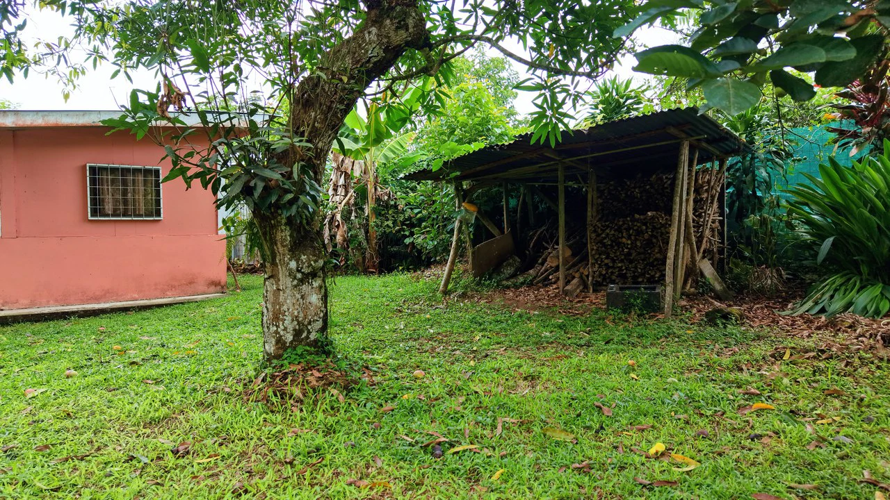 LOTE PLANO CON FRUTALES: Mountain Home Construction Site For Sale in General Viejo - Gallery image 13