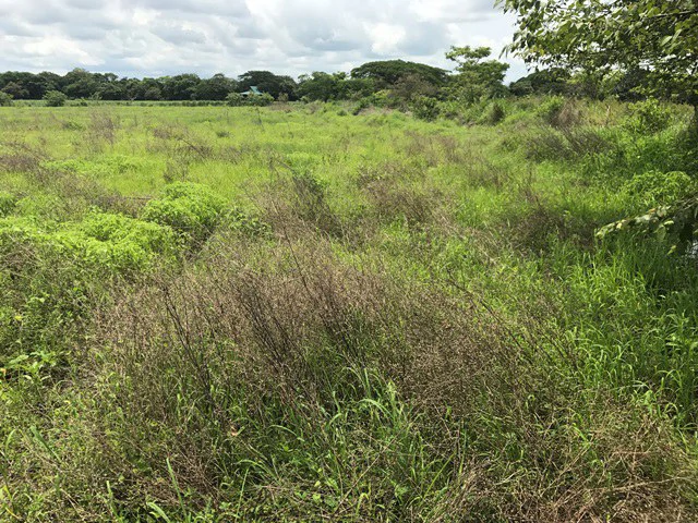 Property close to Liberia and Discovery Park - Gallery image 8