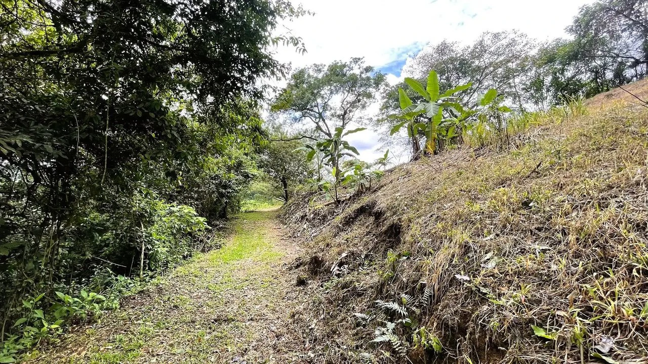 LAND FOR SALE IN SAN MIGUEL, NARANJO - Gallery image 5