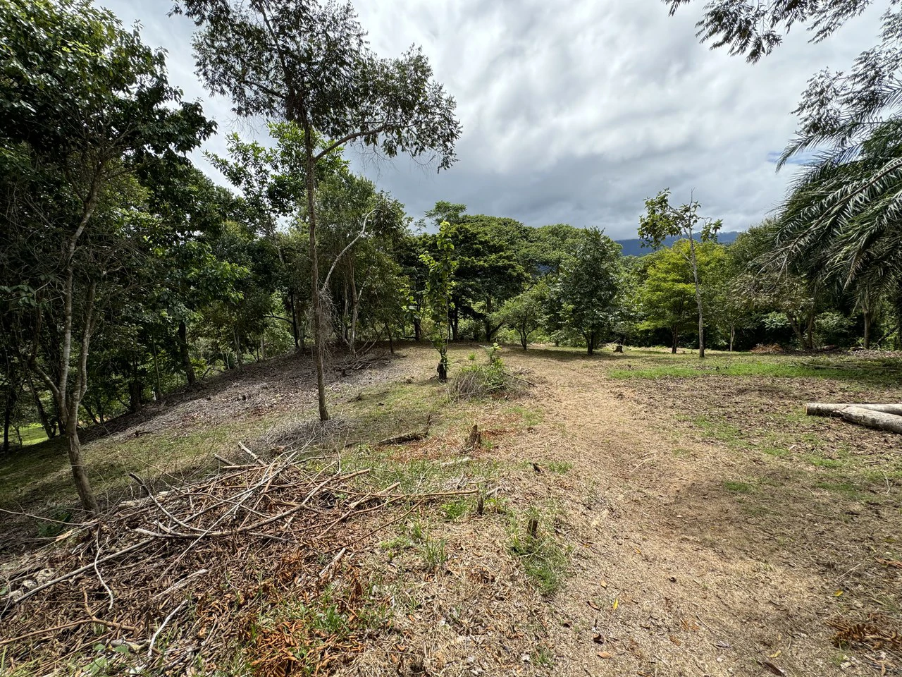 Diamante Waterfall View Land in Dominical 2.9 Acres - Gallery image 14