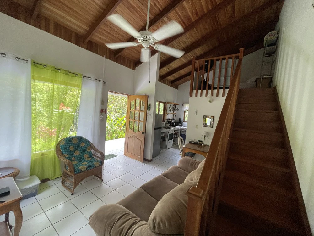 Nuevo arenal: Looking for a Property to Develop Family Residences with Lake Views? - Gallery image 38