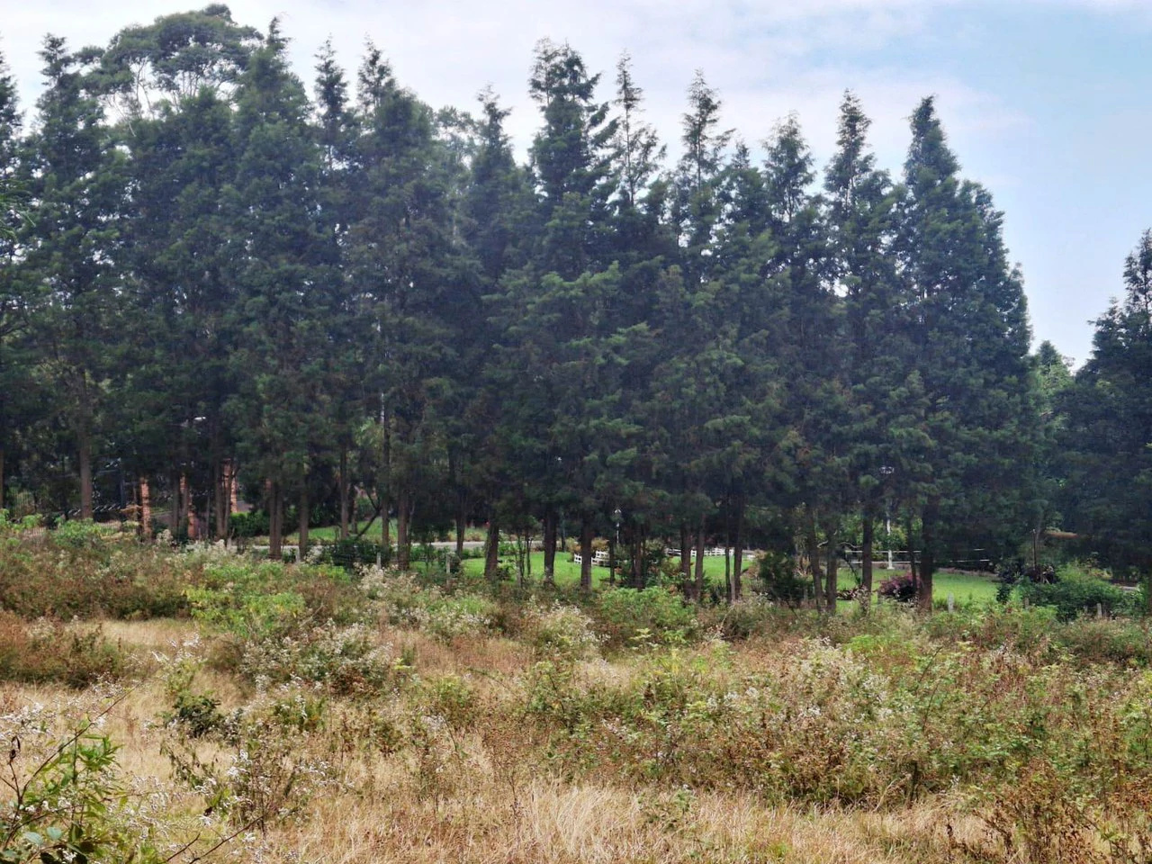 Home...Airbnb...or Hotel? Gorgeous Flat Lot Tucked Away in Nature! - Gallery image 4
