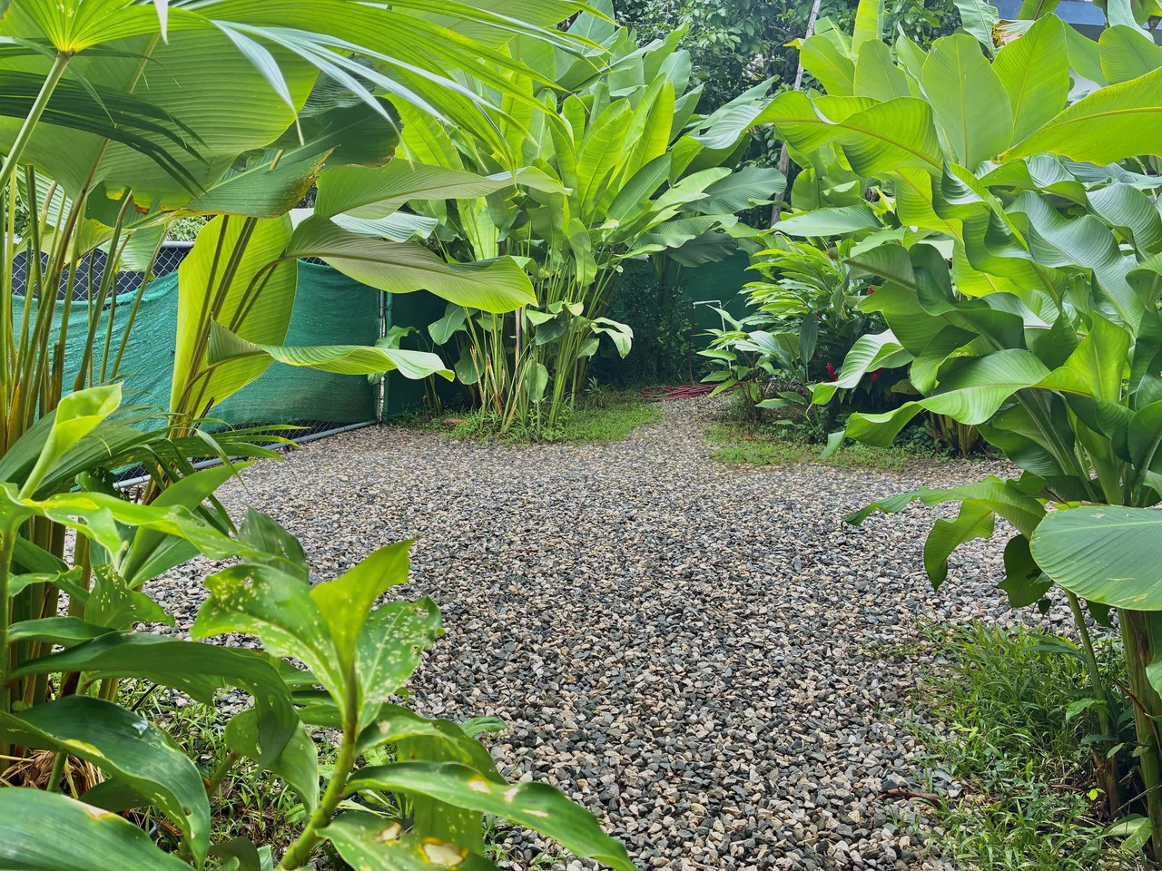 Casa Baja: Near the Coast House For Sale in Pavones - photo 6